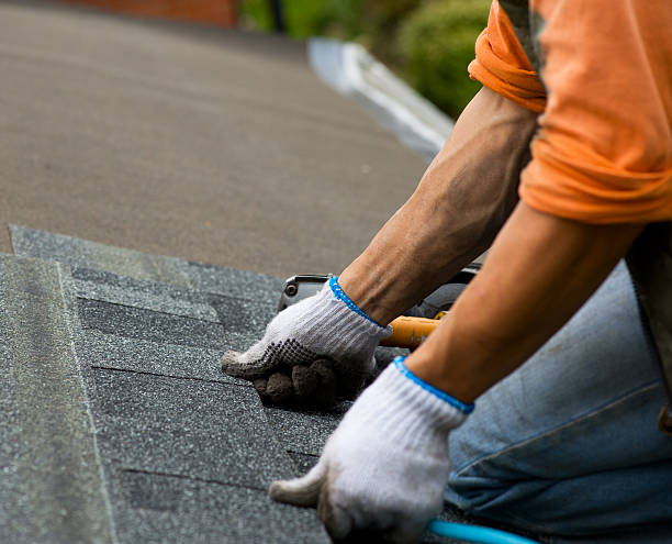 Roof Repair Estimates in Orange Park, FL